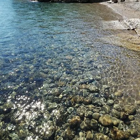 Flora Argentario