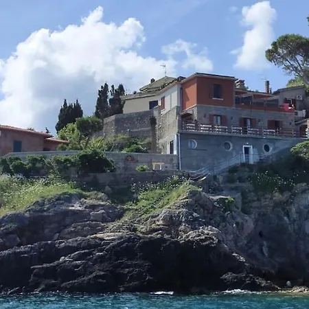Flora Argentario